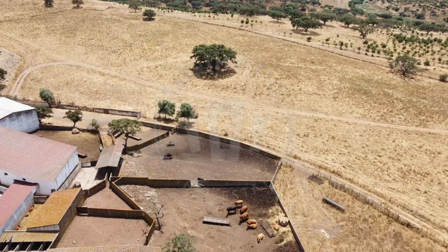 Quinta para Venda em Ourique Foto 68