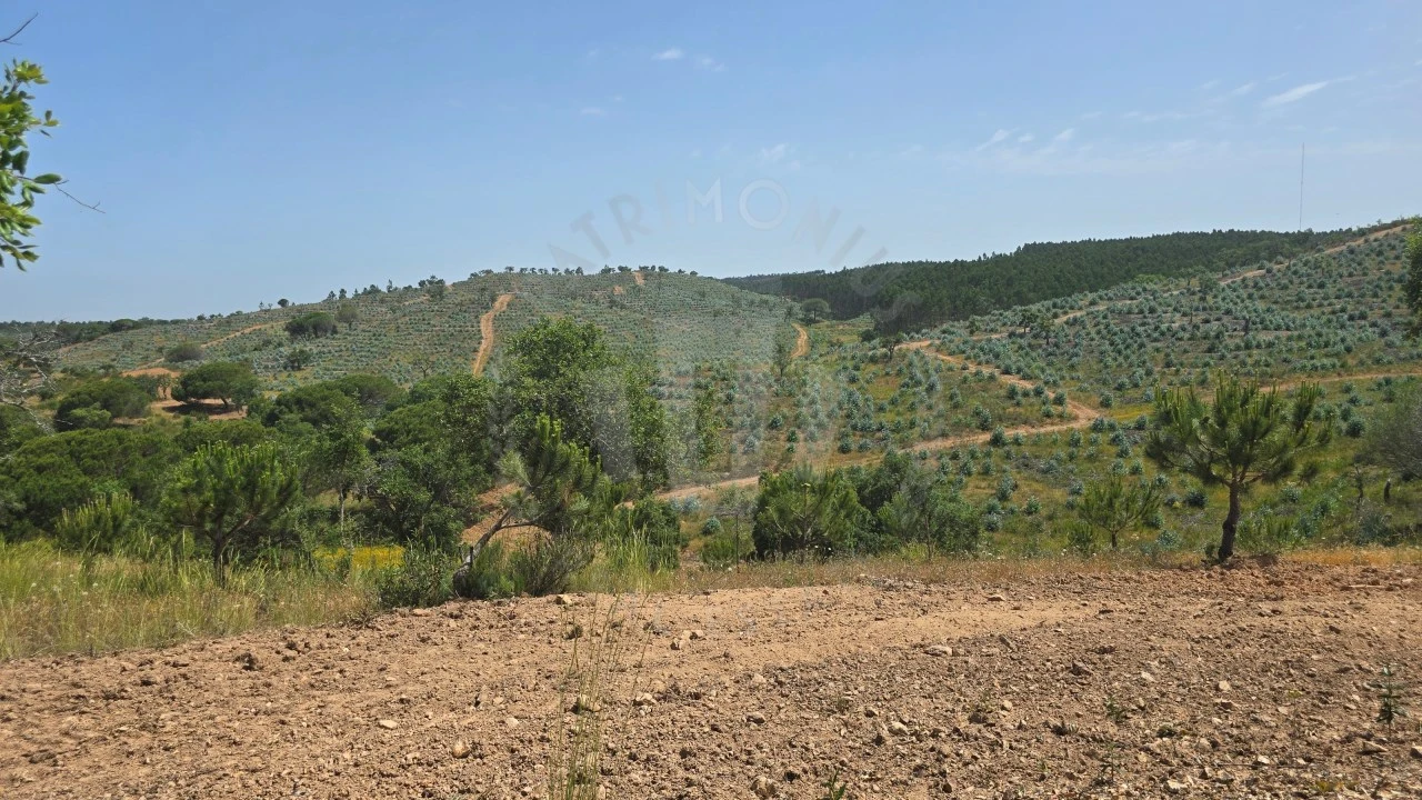 Quinta T1 para Venda em Porto Covo Foto 8