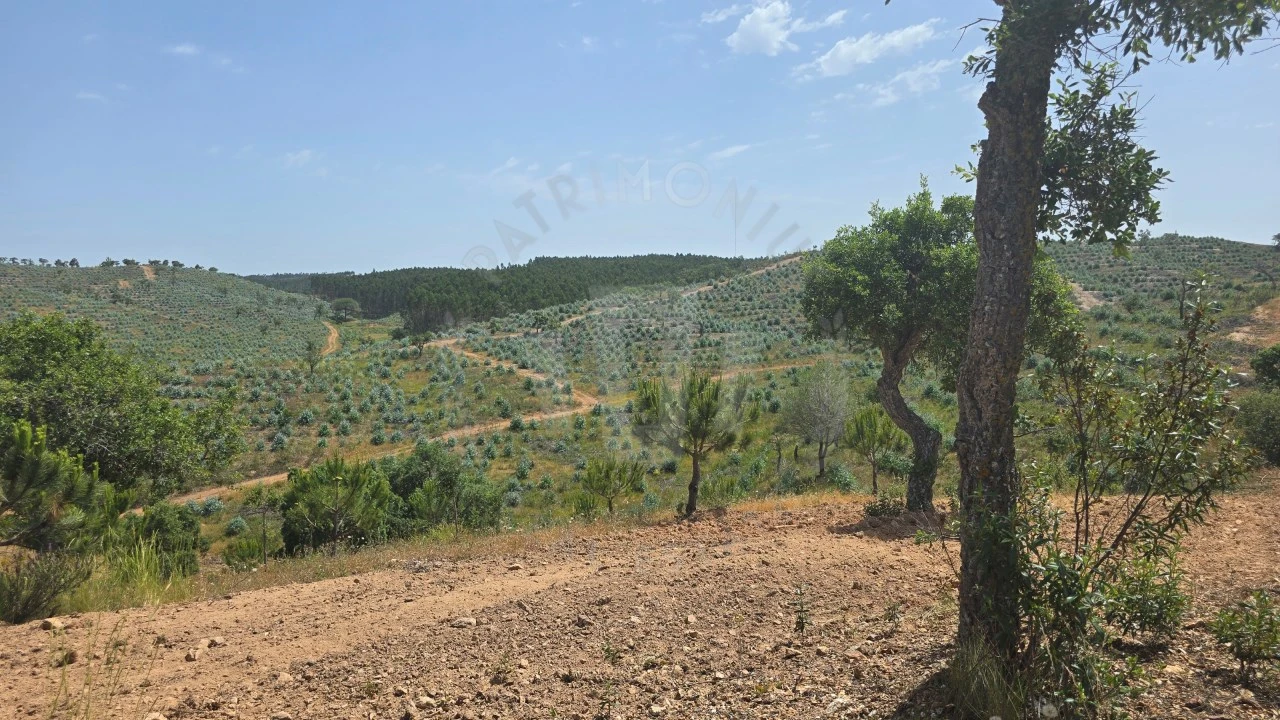 Quinta T1 para Venda em Porto Covo Foto 9