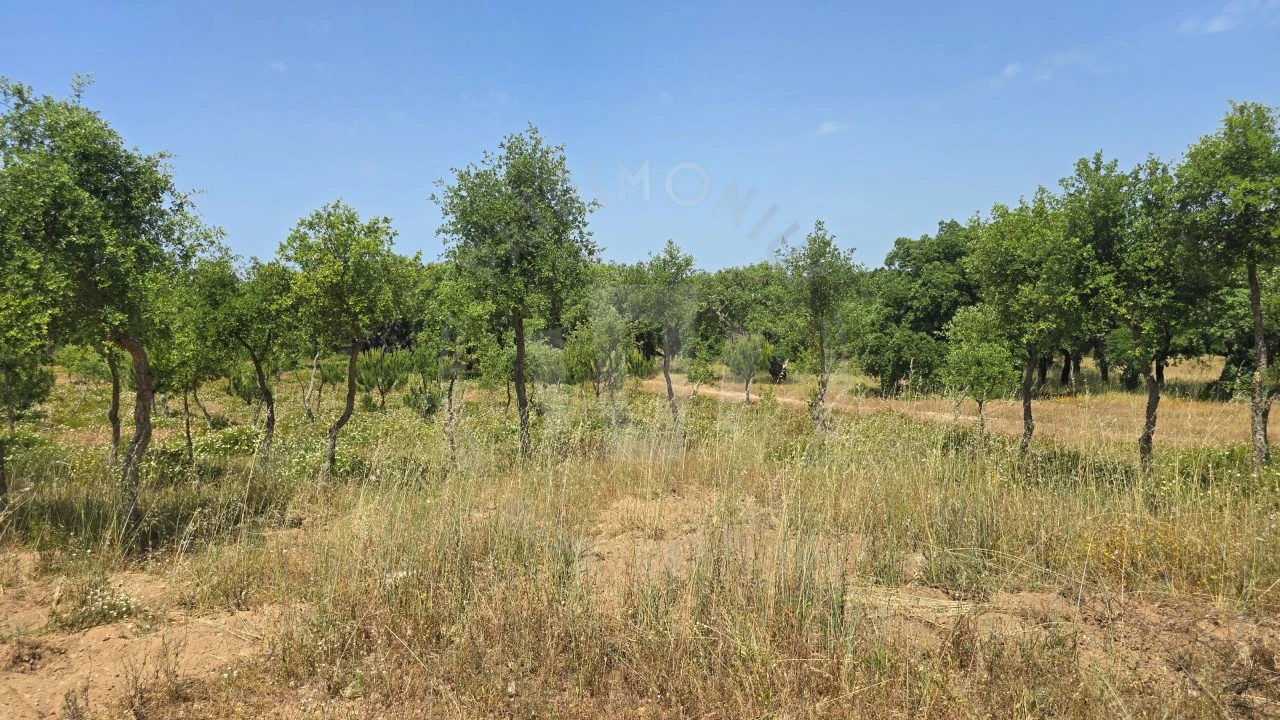 Quinta T1 para Venda em Porto Covo Foto 45