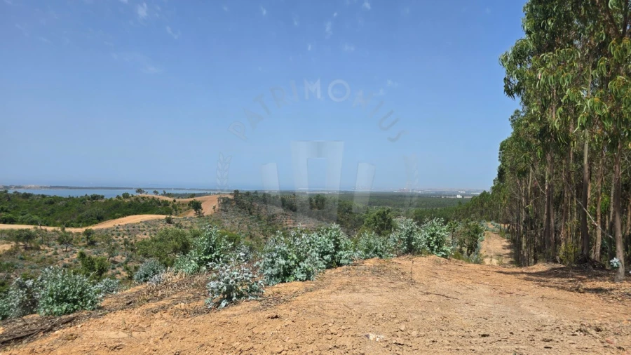 Quinta T1 para Venda em Porto Covo Foto 24