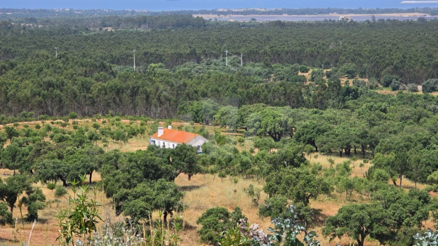 Quinta T1 para Venda em Porto Covo Foto 32