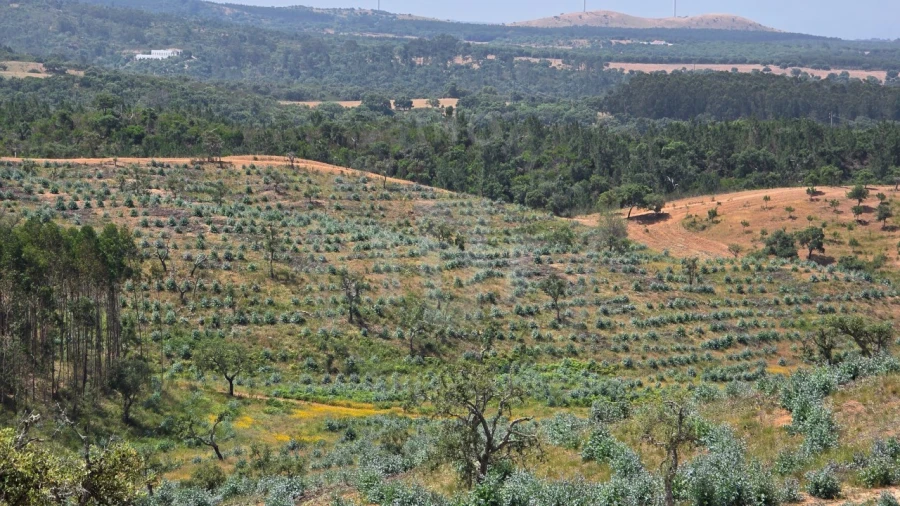 Quinta T1 para Venda em Porto Covo Foto 33
