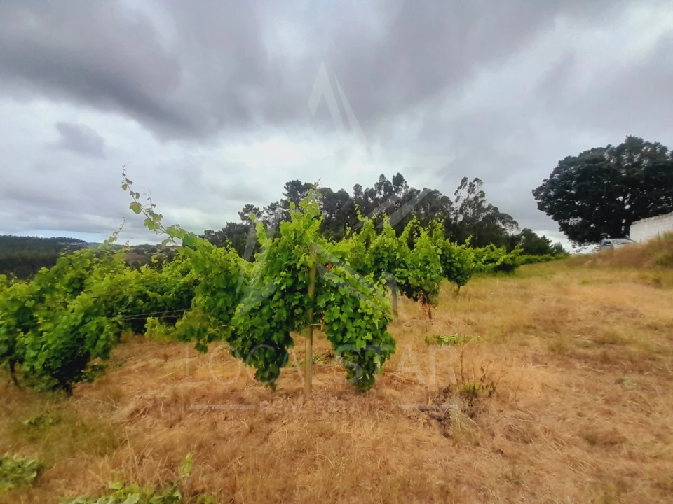 Terreno para Venda em Alvorninha Foto 6