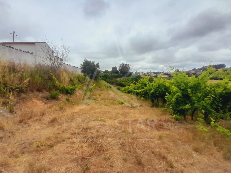 Terreno para Venda em Alvorninha Foto 12