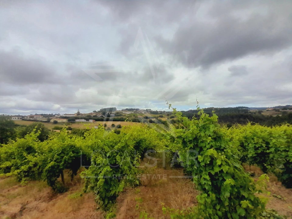 Terreno para Venda em Alvorninha Foto 13