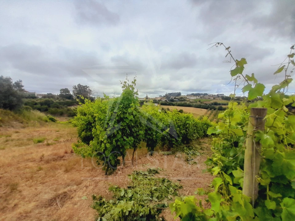 Terreno para Venda em Alvorninha Foto 17