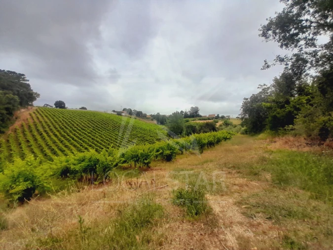 Terreno para Venda em Alvorninha Foto 1