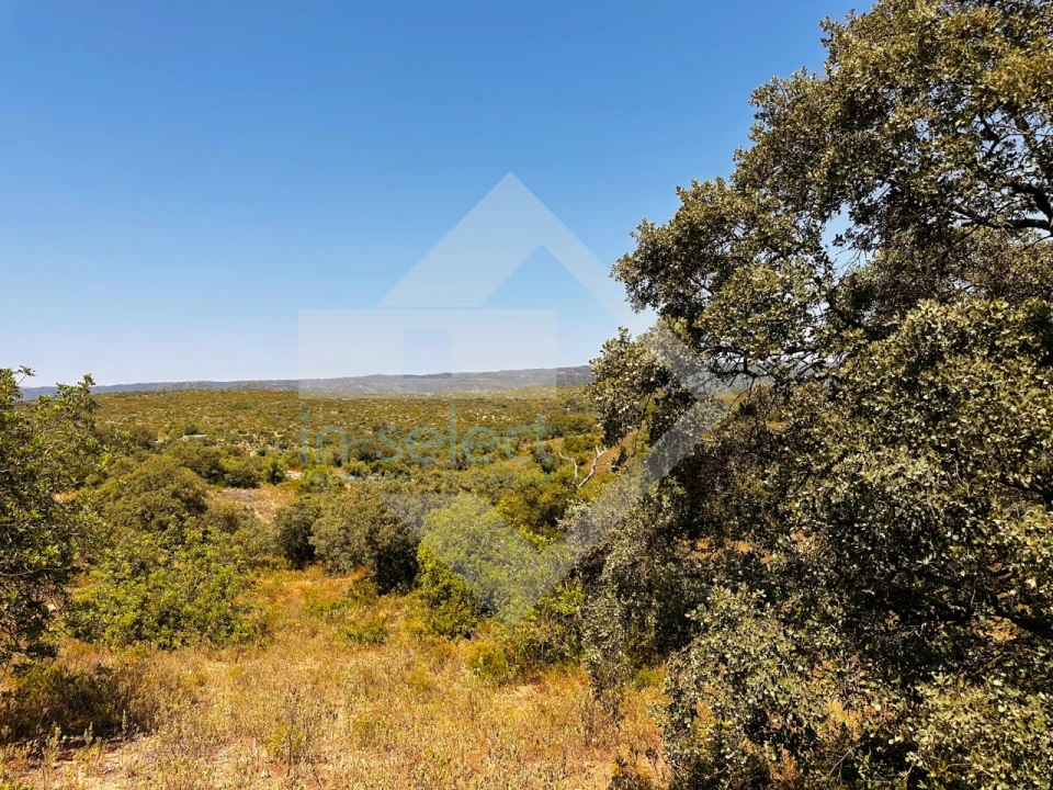 Terreno Agricola ou Rústico para Venda em Loule (São Clemente) Foto 1