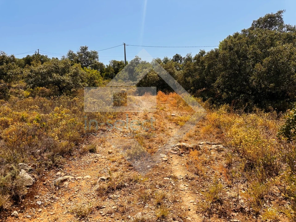 Terreno Agricola ou Rústico para Venda em Loule (São Clemente) Foto 4