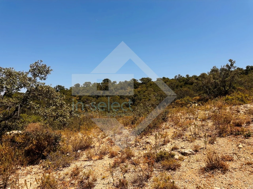 Terreno Agricola ou Rústico para Venda em Loule (São Clemente) Foto 5