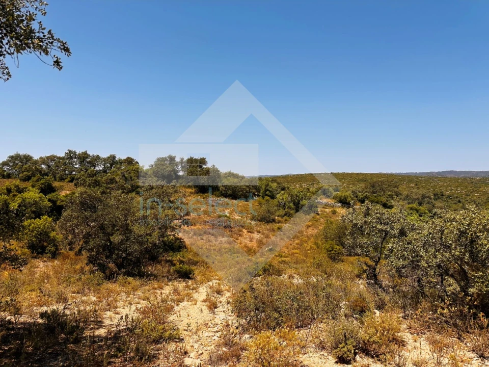 Terreno Agricola ou Rústico para Venda em Loule (São Clemente) Foto 8