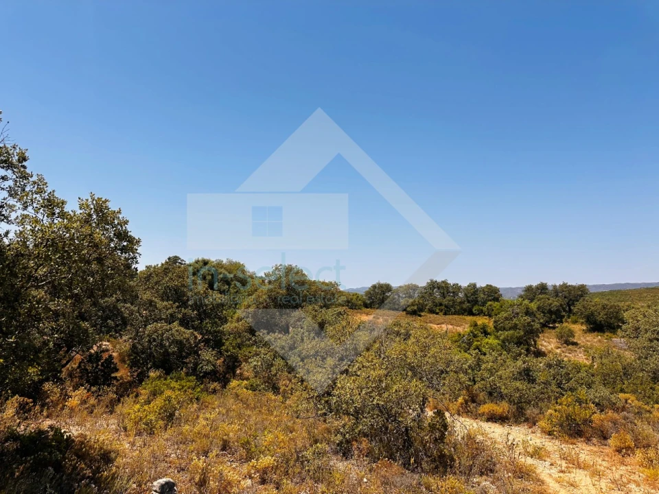 Terreno Agricola ou Rústico para Venda em Loule (São Clemente) Foto 10