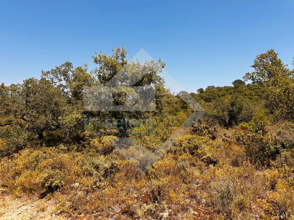Terreno Agricola ou Rústico para Venda em Loule (São Clemente) Foto 13