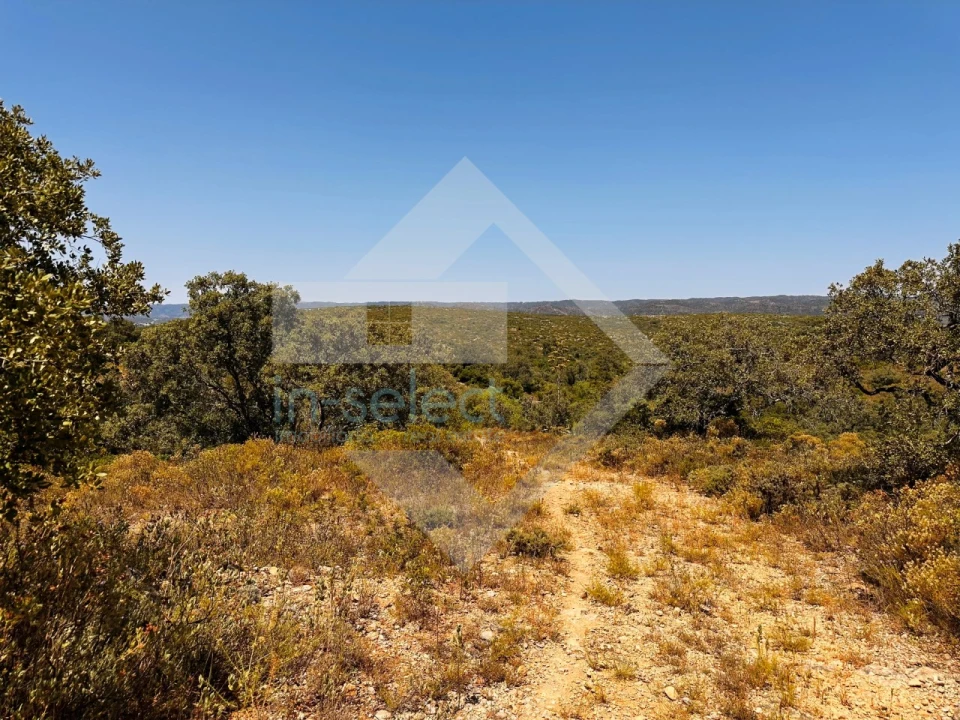 Terreno Agricola ou Rústico para Venda em Loule (São Clemente) Foto 14
