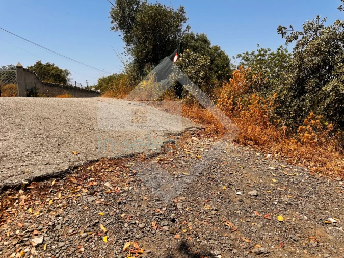Terreno Agricola ou Rústico para Venda em Loule (São Clemente) Foto 3