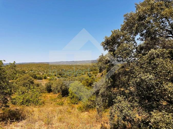 Terreno Agricola ou Rústico para Venda em Loule (São Clemente)