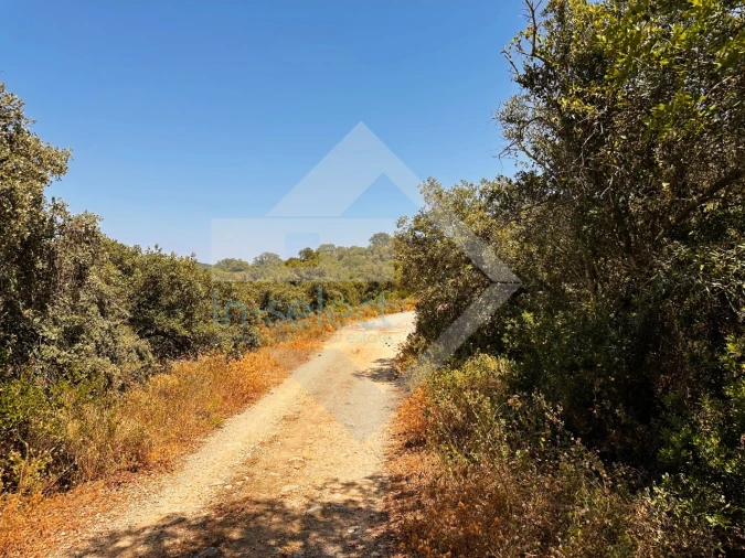 Terreno Agricola ou Rústico para Venda em Loule (São Clemente) Foto 2