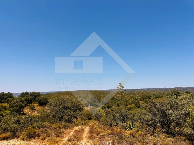 Terreno Agricola ou Rústico para Venda em Loule (São Clemente) Foto 11