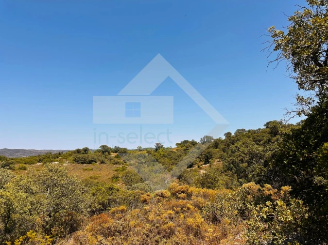 Terreno Agricola ou Rústico para Venda em Loule (São Clemente) Foto 12
