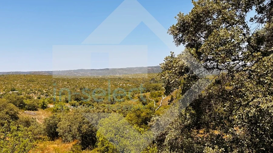 Terreno Agricola ou Rústico para Venda em Loule (São Clemente)