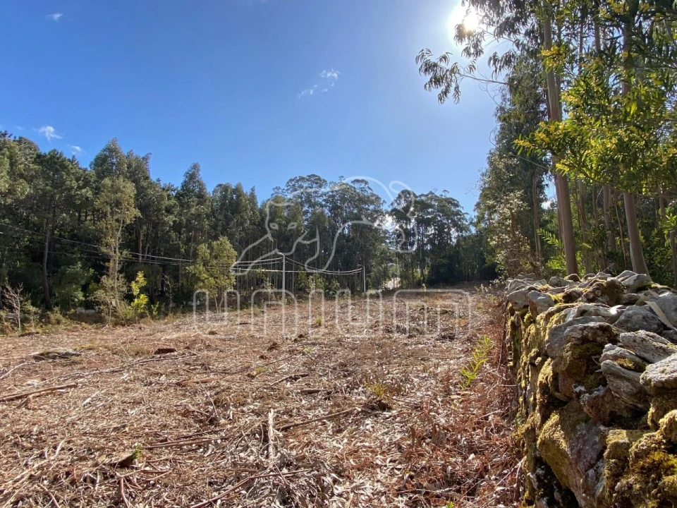 Terreno para Venda em Caminha (Matriz) e Vilarelho Foto 5