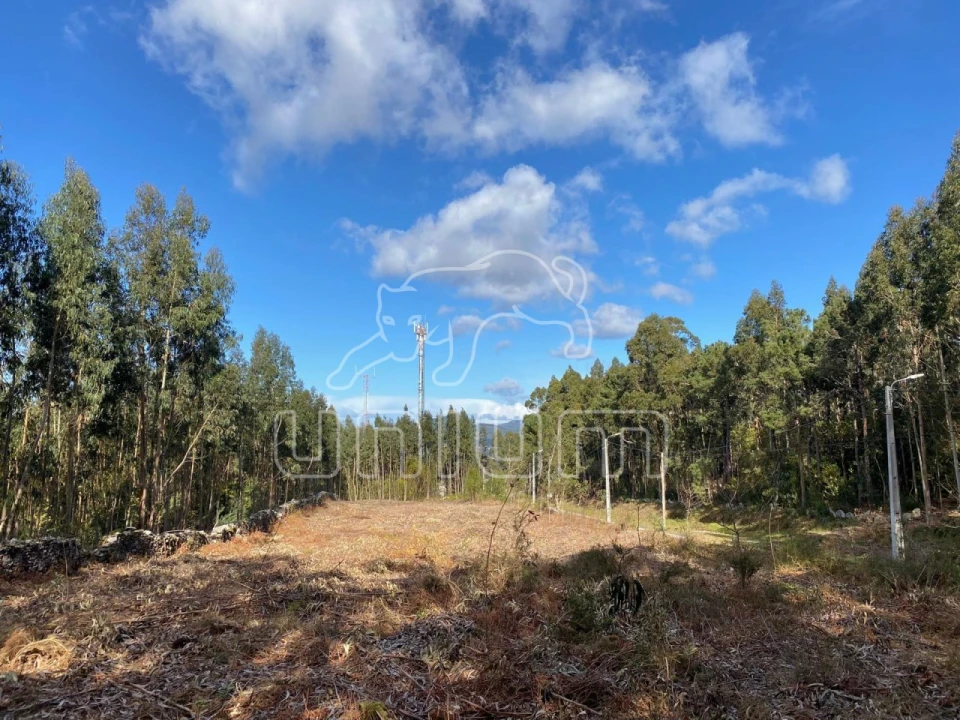 Terreno para Venda em Caminha (Matriz) e Vilarelho Foto 3