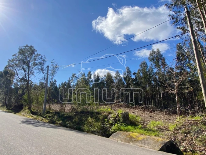 Terreno para Venda em Caminha (Matriz) e Vilarelho