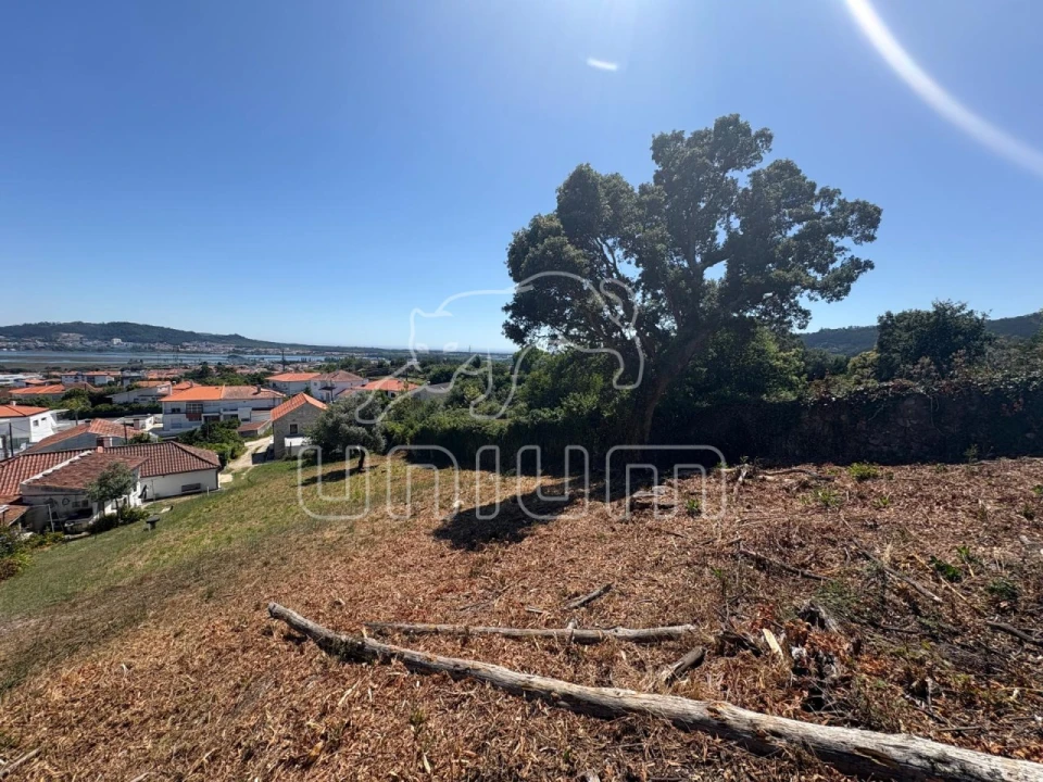 Terreno para Venda em Santa Maria Maior e Monserrate e Meadela Foto 5