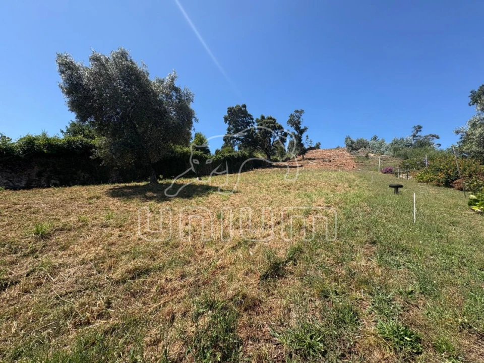 Terreno para Venda em Santa Maria Maior e Monserrate e Meadela Foto 8