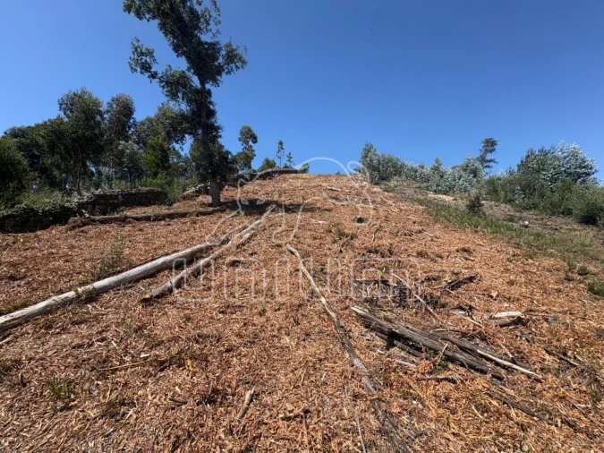 Terreno para Venda em Santa Maria Maior e Monserrate e Meadela Foto 9