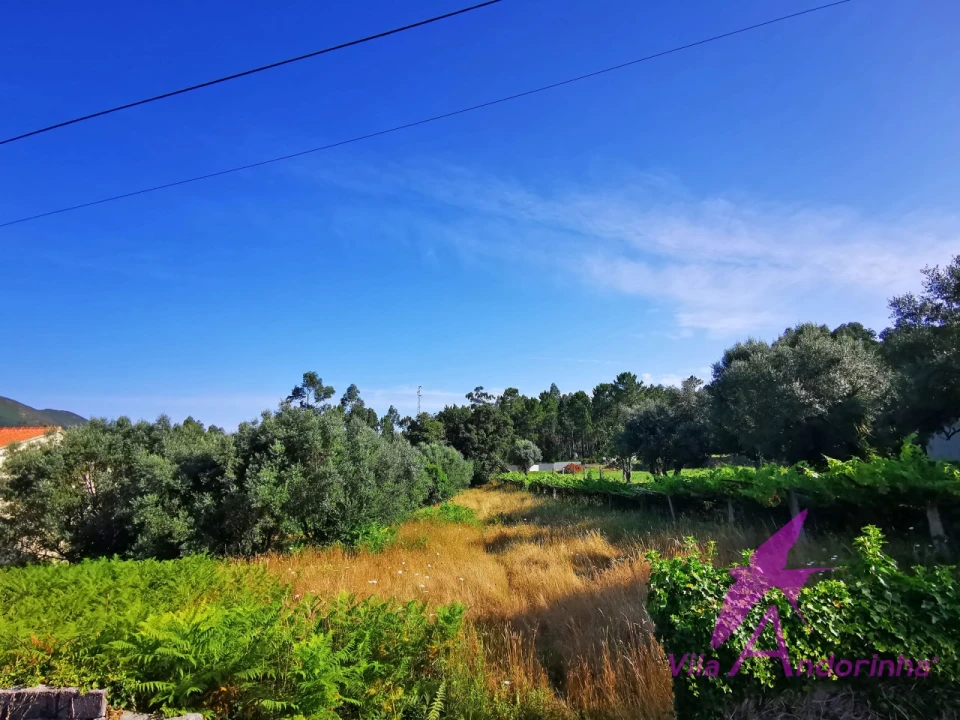 Terreno para Venda em Nogueira, Meixedo e Vilar de Murteda Foto 3
