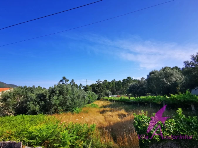 Terreno para Venda em Nogueira, Meixedo e Vilar de Murteda Foto 3