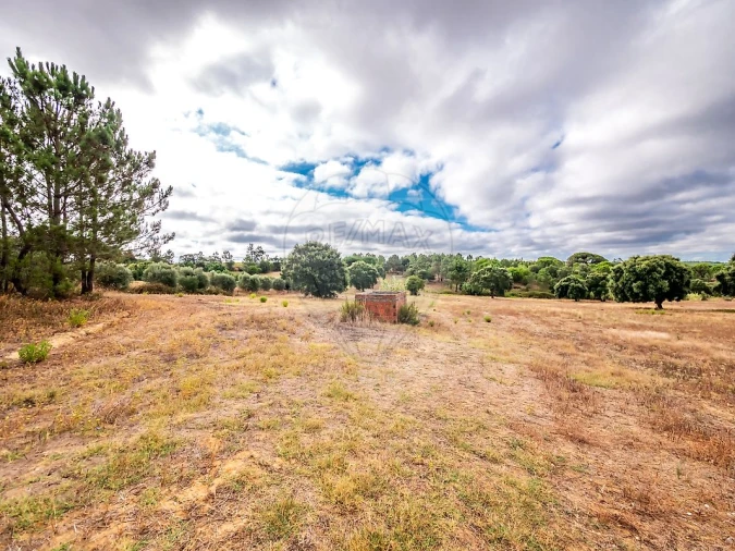 Terreno para Venda em Aveiras de Cima Foto 4