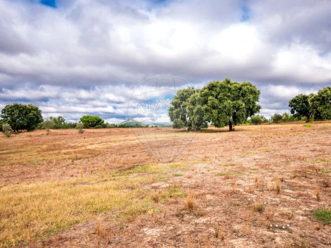 Terreno para Venda em Aveiras de Cima Foto 6