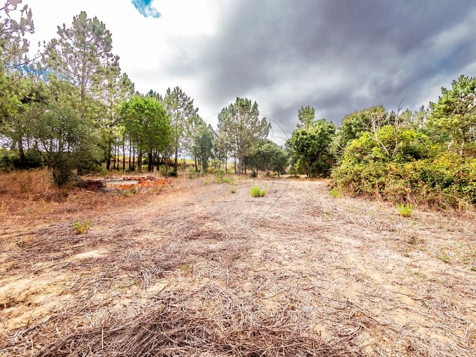 Terreno para Venda em Aveiras de Cima Foto 8
