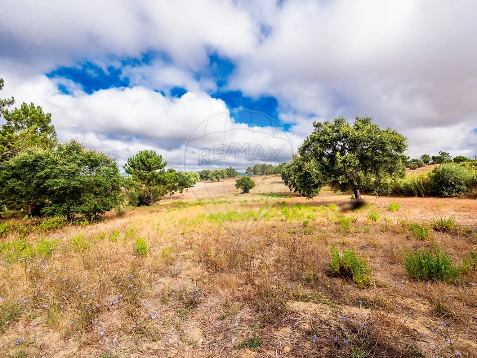 Terreno para Venda em Aveiras de Cima Foto 7