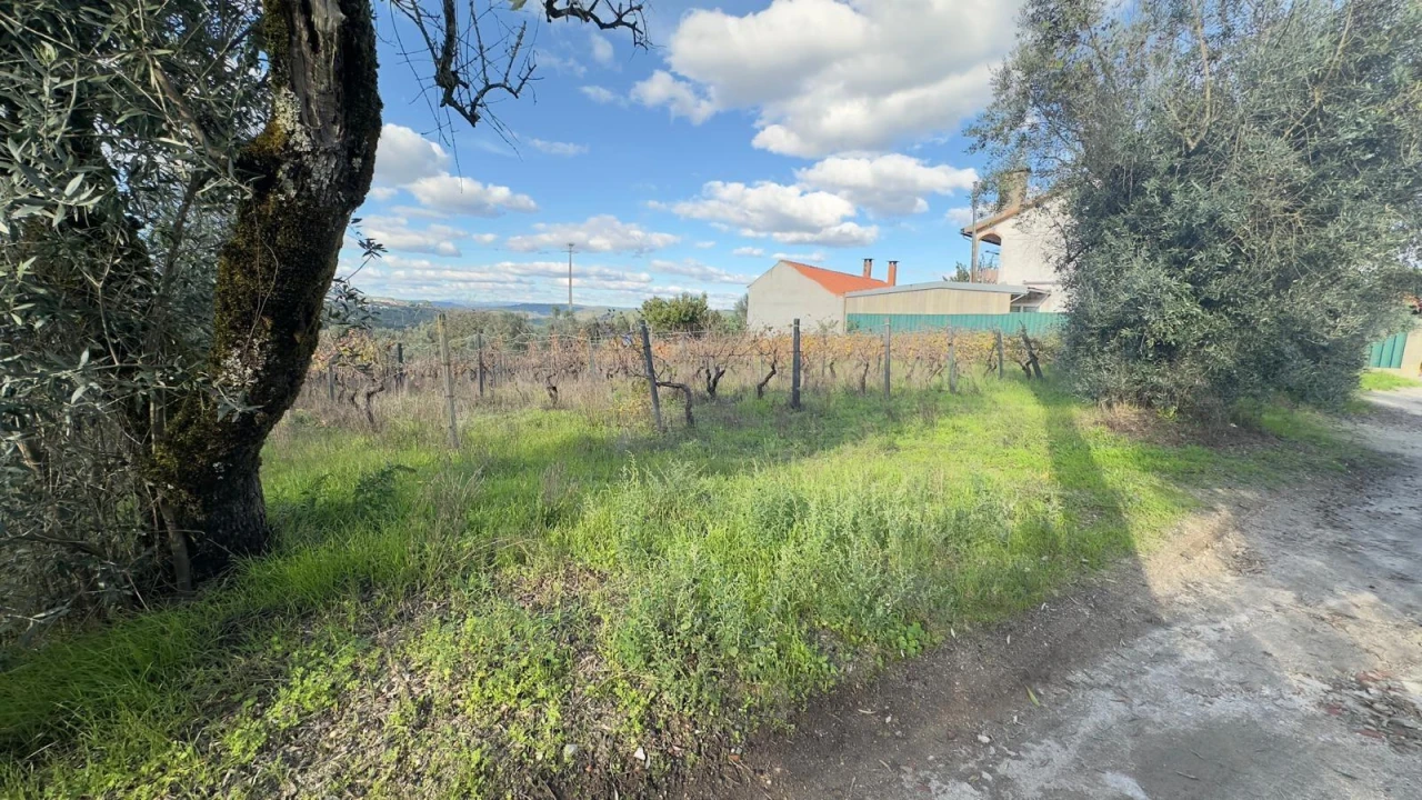 Terreno Agricola ou Rústico para Venda em Silgueiros Foto 1