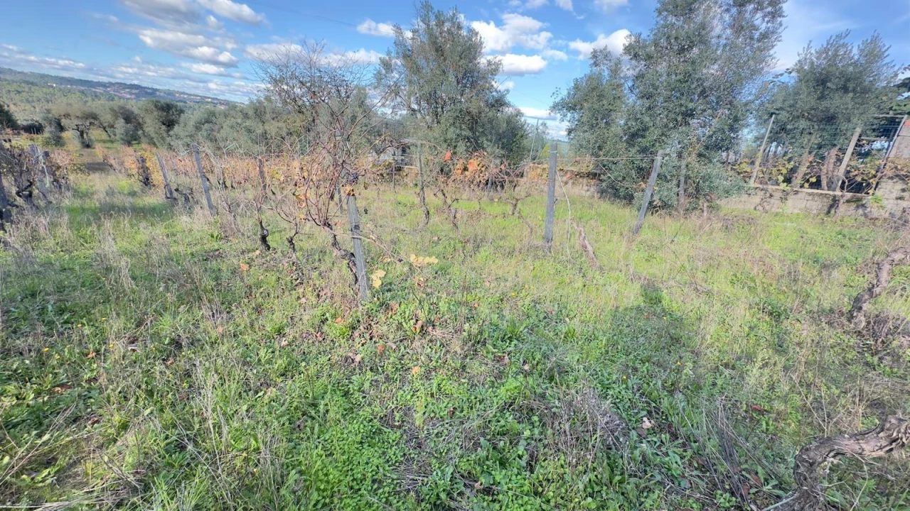 Terreno Agricola ou Rústico para Venda em Silgueiros Foto 20