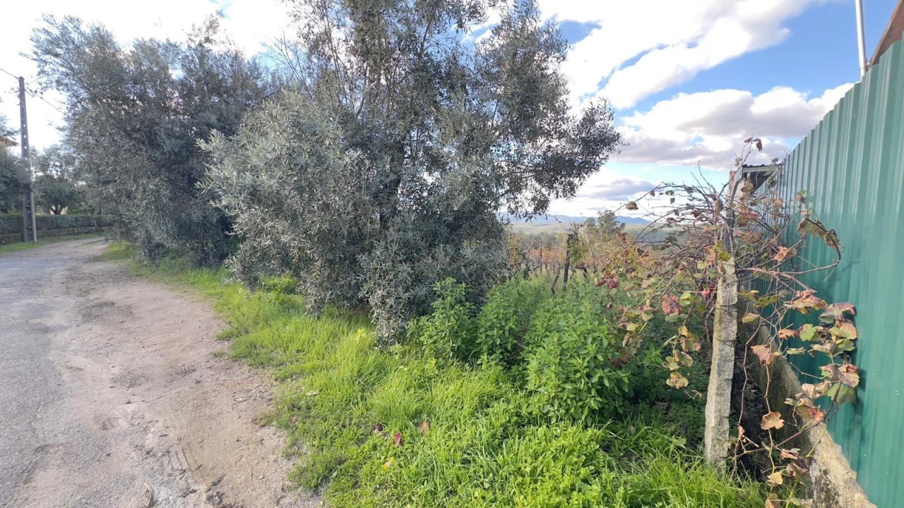 Terreno Agricola ou Rústico para Venda em Silgueiros Foto 22
