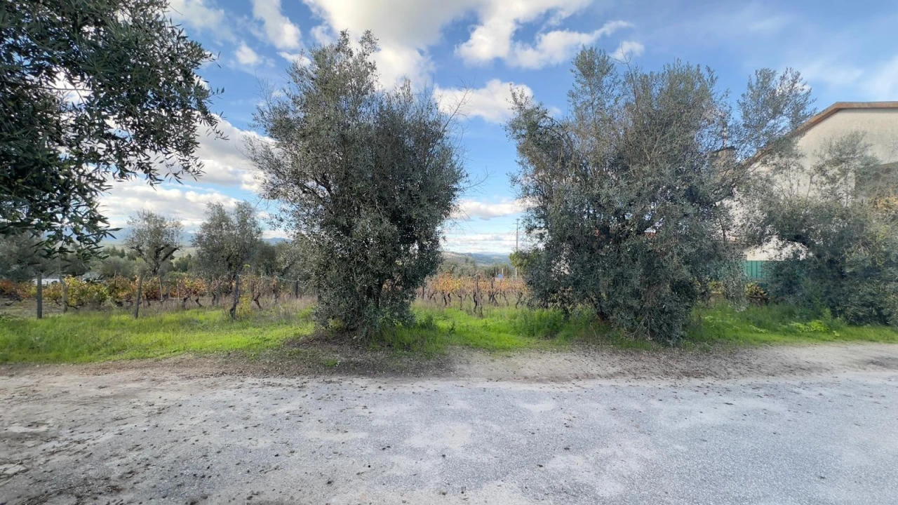 Terreno Agricola ou Rústico para Venda em Silgueiros Foto 24
