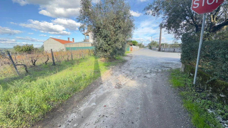 Terreno Agricola ou Rústico para Venda em Silgueiros Foto 23