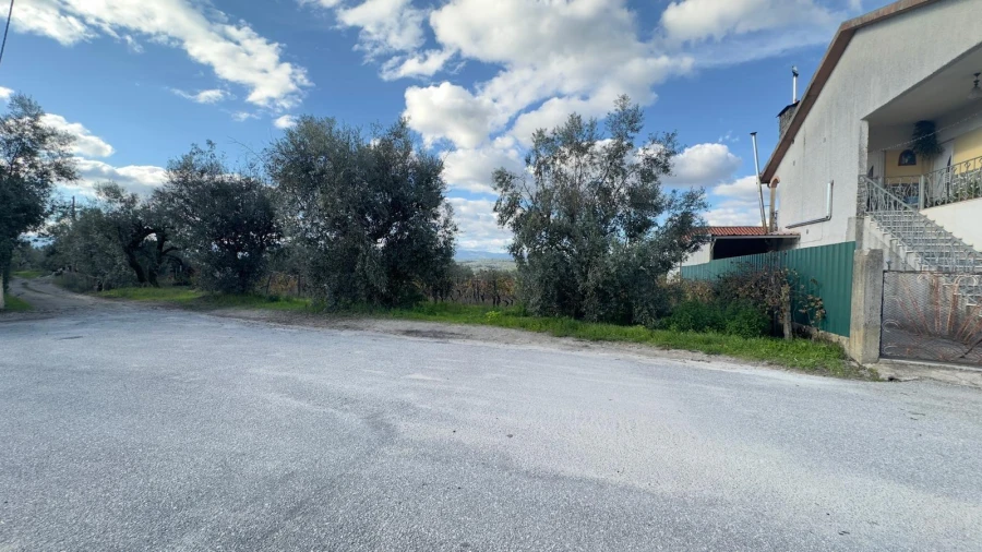 Terreno Agricola ou Rústico para Venda em Silgueiros Foto 26