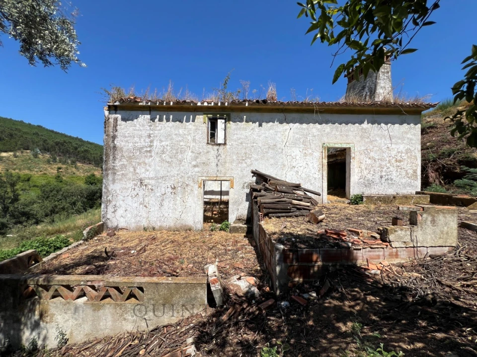 Quinta T3 para Venda em Alegrete Foto 4