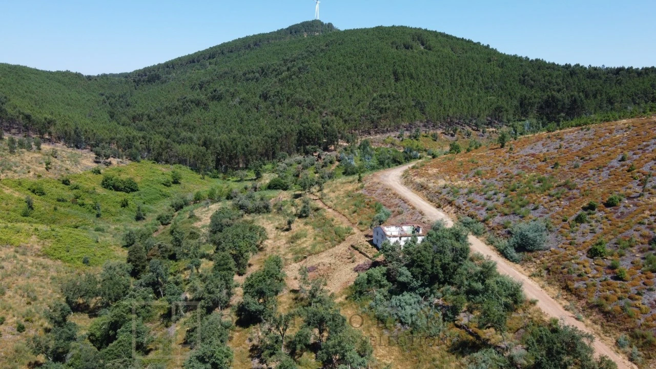 Quinta T3 para Venda em Alegrete Foto 13