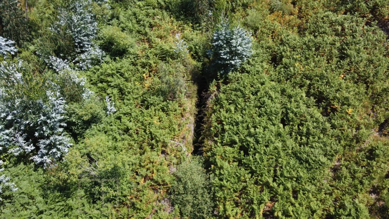 Quinta T3 para Venda em Alegrete Foto 21