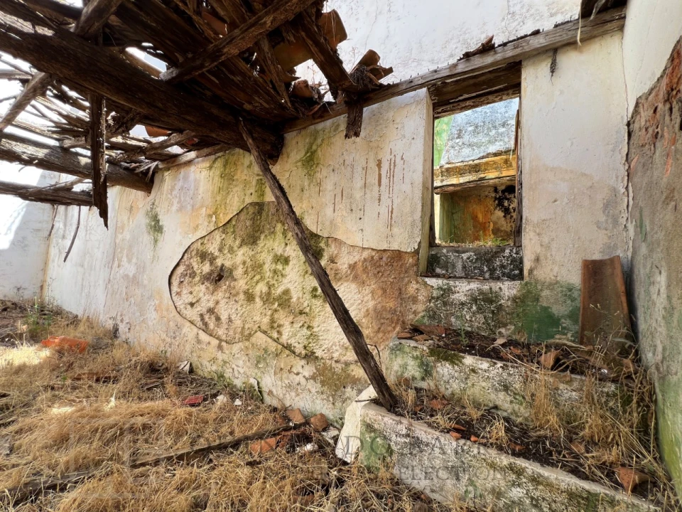 Quinta T3 para Venda em Alegrete Foto 36