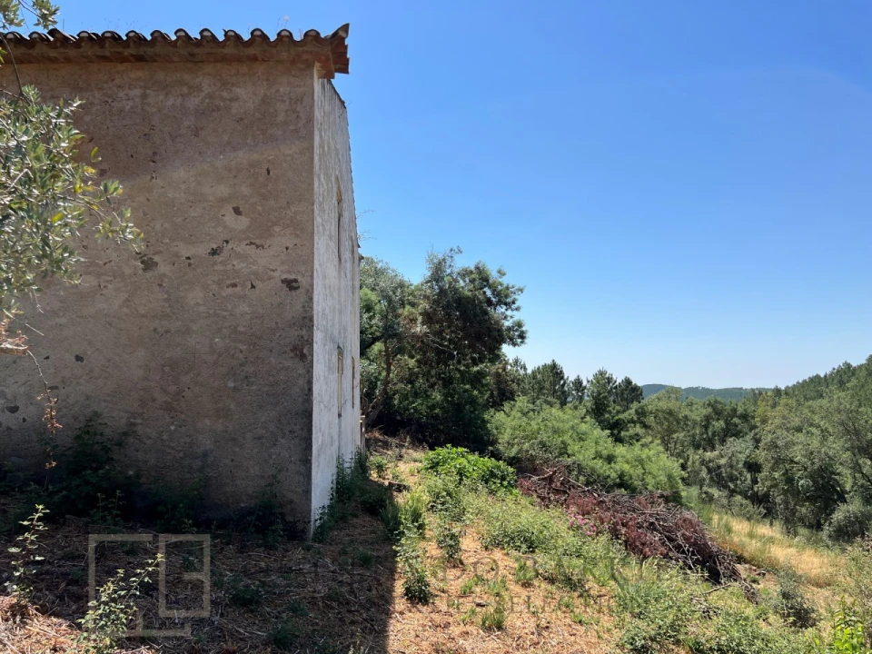 Quinta T3 para Venda em Alegrete Foto 39