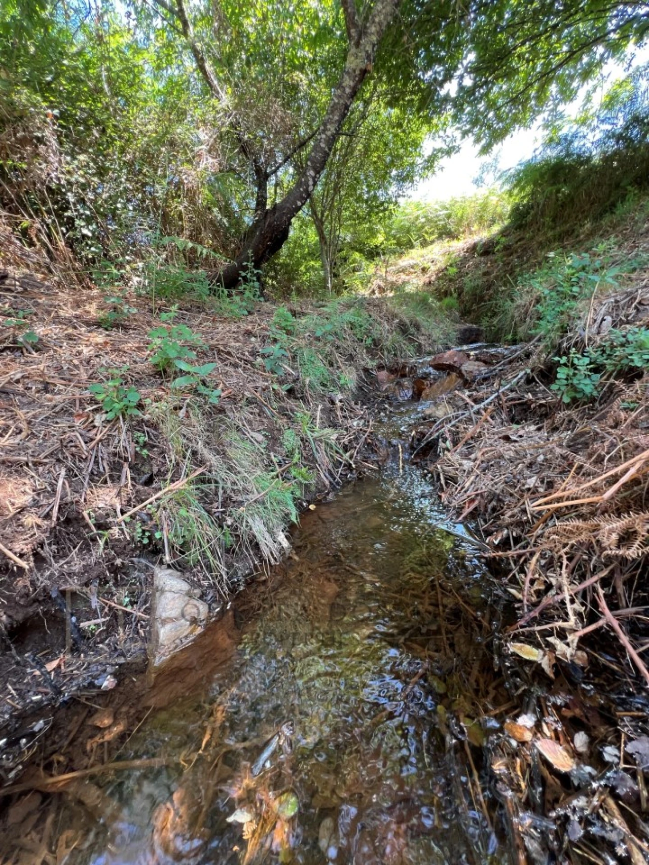 Quinta T3 para Venda em Alegrete Foto 43