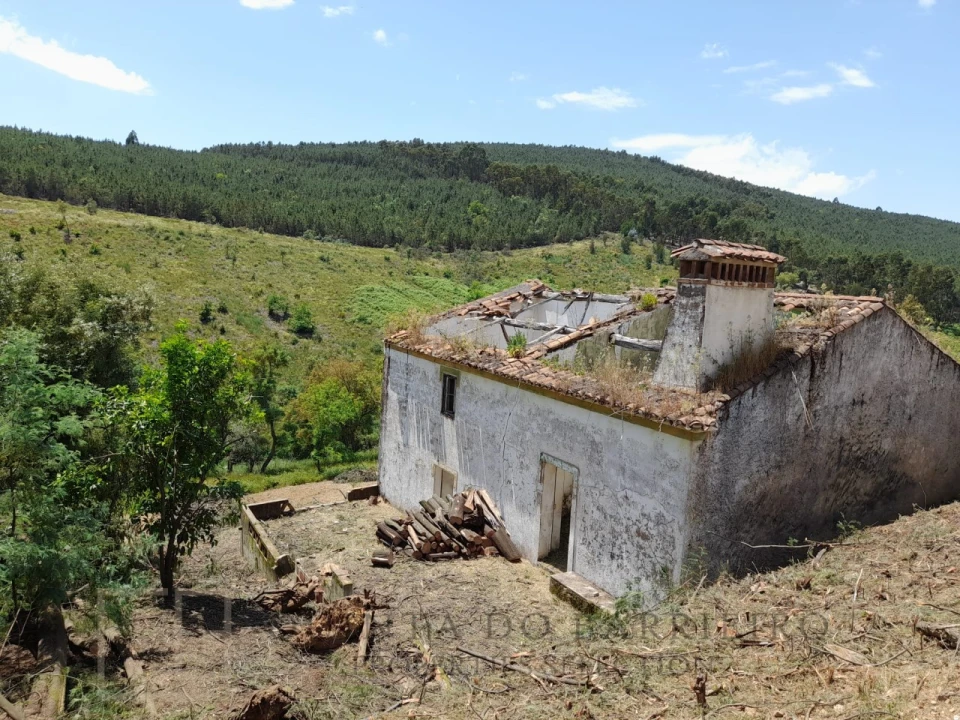 Quinta T3 para Venda em Alegrete Foto 1
